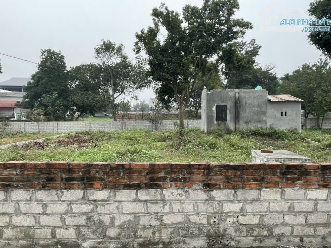 Chính chủ cần bán gấp lô đất 149m2 (6,8x22) tại Thôn Trại hồ, Cổ Đông, Sơn tây. - 10