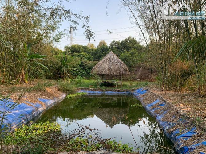 Cần sang nhượng gấp nhà vườn, đất vườn cây trái lâu năm, đường ô tô, giá cực rẻ - 11