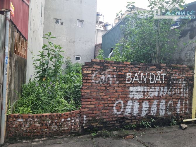 Cần Bán Gấp Mảnh Đất- Chử Xá - Gia Lâm- Hà Nội - 1
