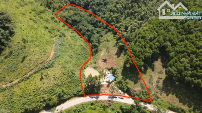 BÁN ĐẤT NẬT SƠN – KIM BÔI – HÒA BÌNH - 1