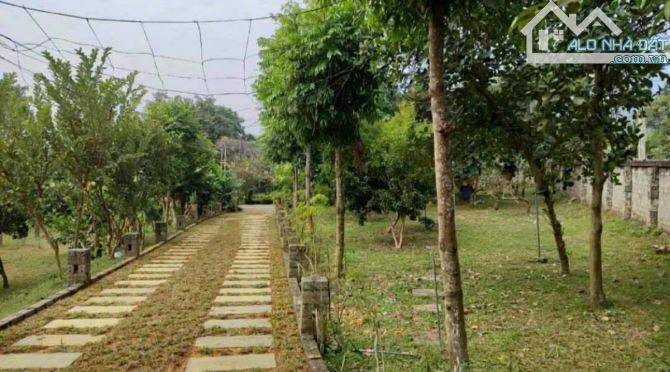 DUY NHẤT 1 MẢNH ĐẤT ĐẸP XUÂN LA -MẶT TIỀN KHỦNG - 5