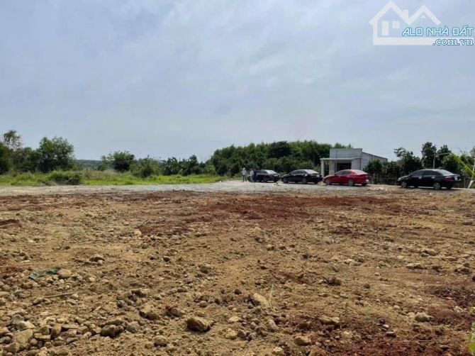 Siêu rẻ đẹp làm nhà vườn- trung tâm thị trấn Đất Đỏ 👉👉 VT1: 564m2 (18x26m) phủ hồng Nở h - 1