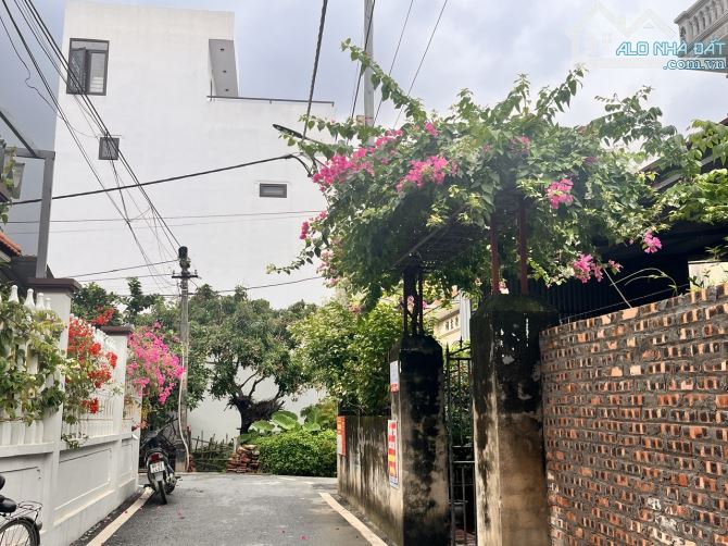 Bán 160m rộng 8m làng Xuân Cầu, Nghĩa Trụ cạnh Vin3 Văn Giang, đường atphalt thông. Giá 4x - 1