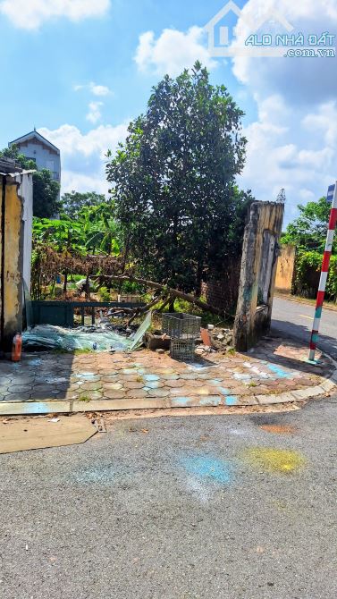 🏡 BÁN ĐẤT - Ỷ LAN - GIA LÂM - LÔ GÓC - KINH DOANH - DÒNG TIỀN - SINH LỜI CAO  Lô đất đẹp - 1