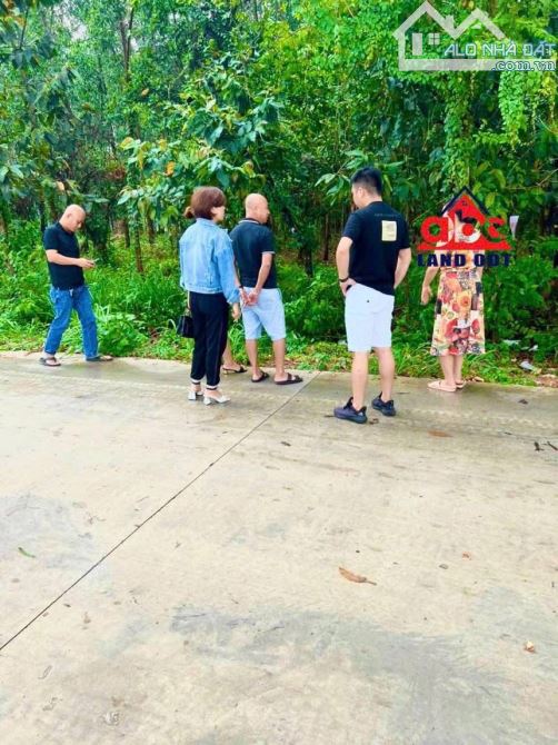 Bán đất mặt tiền đường kinh doanh. phường Tam Phước Biên Hoà Đồng Nai - 1