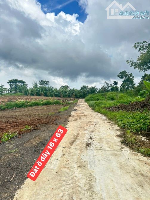 LÔ ĐẤT 16x63m BÌA RIÊNG CHỈ 690 TRIỆU - 1