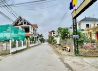 Bán đất Kiều Trung Hồng Thái -An Dương - 1