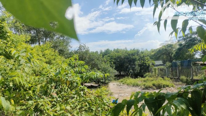 🌳ĐẤT 2 MẶT TIỀN -DT: 584M CÓ 561 THỔ- GIÁ: 7 TỈ 3 – AN PHƯỚC, LONG THÀNH 🌳 - 1