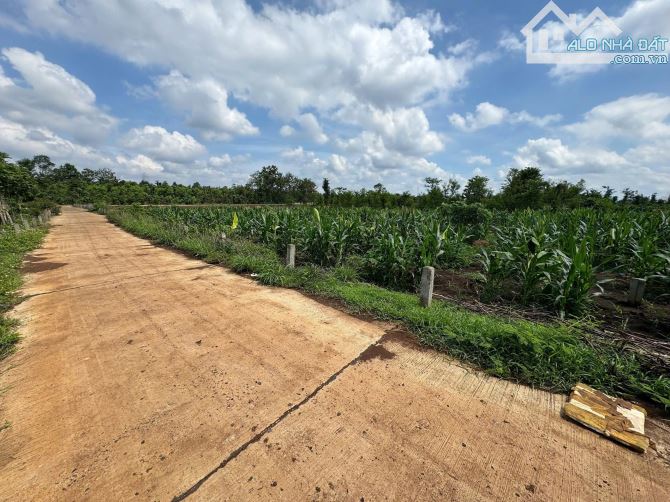 Đất 1.1 sào gần Tỉnh Lộ 2 xã Hoà Khánh gần đường Tránh Đông - 1