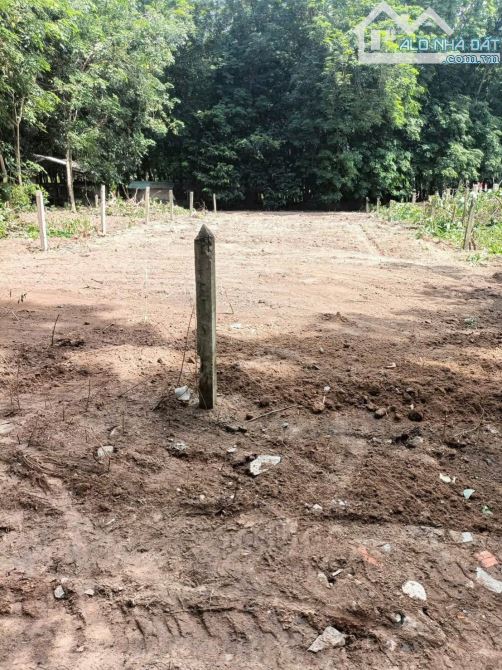 Bán gấp đất 200m2,cách mặt tiền 100m, mặt tiền đường 8m, trung tâm Bến Cát - 1