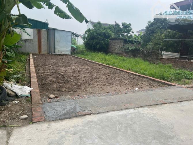 Bán đất thôn Ấp Tre (Tổ 9) Quang Minh, TP Hà Nội. Đường thông bàn cờ, full thổ cư, oto đỗ - 1