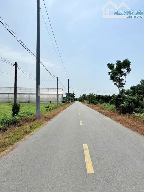 Chính Chủ Cần Bán lô đất mặt tiền đường nhựa Tim Vàng Long Mỹ ( Nay là Xã Phước Hải) - 1