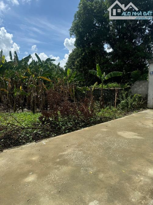 🔥 BÁN LÔ ĐẤT PHƯỜNG QUẢNG THỊNH – NGUYỄN HỮU CẢNH 🔥 - 1