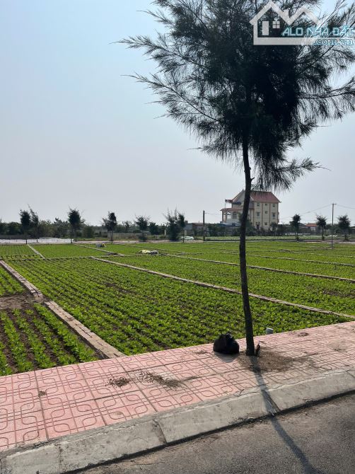 CẦN BÁN - chỉ 1 tỉ đồng 100m2 TT.Quất Lâm - 1