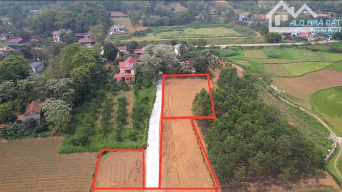 Bán lô đất bám đường mòn Hồ Chí Minh và QL 217B giá 190 triệu/lô - 1