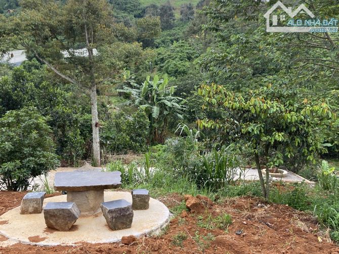 Bán đất chính chủ trung tâm bảo lộc Lâm đồng hợp nhà nghỉ dươxng - 1