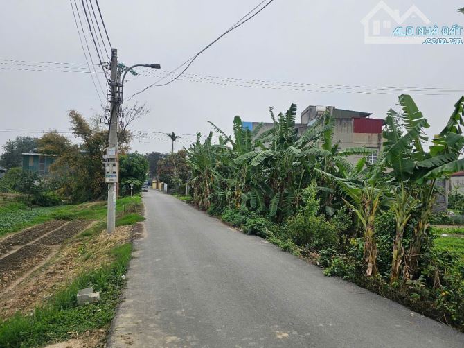 Bán đất chục chính ngọc đôi kim châm dt 121m2 + mt 4.5m hướng nam giá 2.84tỷ - 1