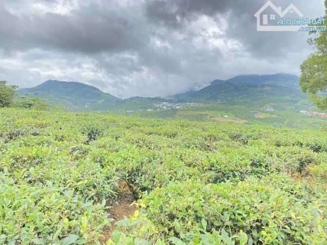 Nhanh mới kịp! Bán vườn đường quốc lộ 20 Đại Lào, phường 3 Bảo Lộc⭐️VIEW CỰC ĐẸP - 1