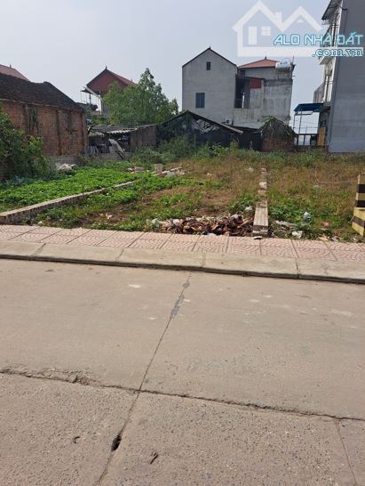 BÁN ĐẤT QUANG MINH- MÊ LINH– ĐƯỜNG 8M PHÂN LÔ BÀN CỜ– Ô TÔ TRÁNH ĐỖ NGÀY ĐÊM– CHỈ HƠN 2TỶ - 1