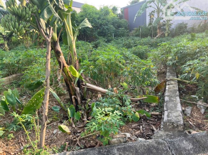 Bán đất thổ cư 88m² – thôn Sên Chỉ, Bình Yên, Thạch Thất – đường ô tô tránh – tiềm năng si - 1