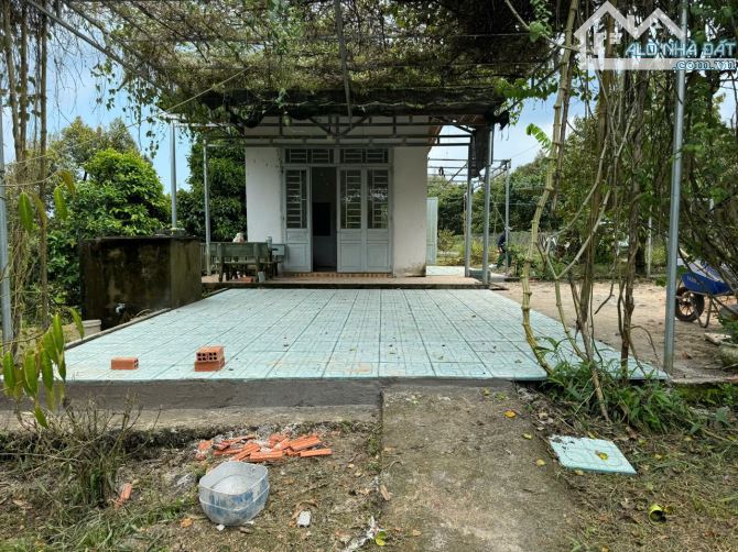 Cần sang nhượng gấp nhà vườn, đất vườn cây trái lâu năm, đường ô tô, giá cực rẻ - 12