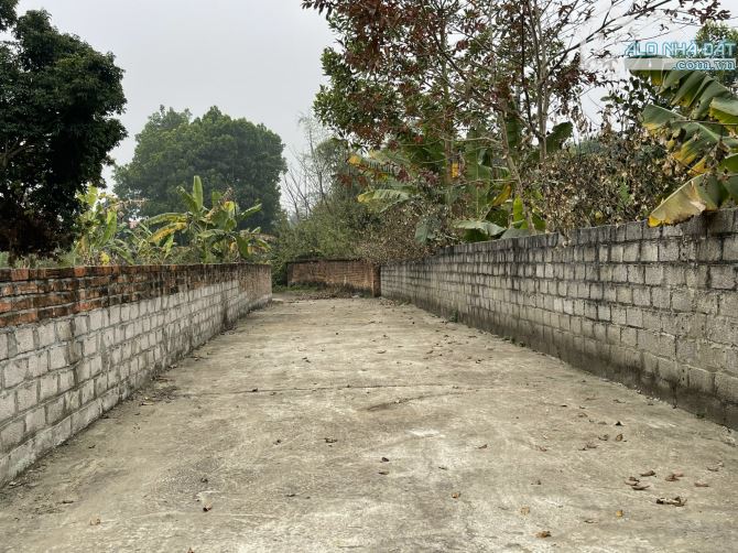 Chính chủ cần bán gấp lô đất 149m2 (6,8x22) tại Thôn Trại hồ, Cổ Đông, Sơn tây. - 13