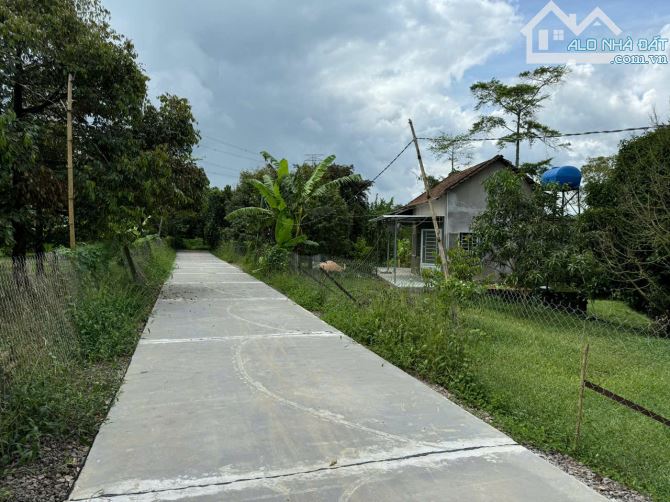 Cần sang nhượng gấp nhà vườn, đất vườn cây trái lâu năm, đường ô tô, giá cực rẻ - 21