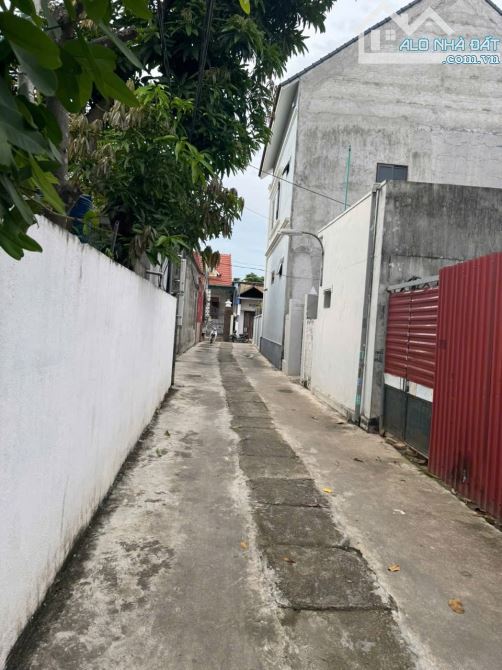 🌟 Cần Bán Đất Tại Thuỷ Đường Thuỷ Nguyên  Hải Phòng - 2