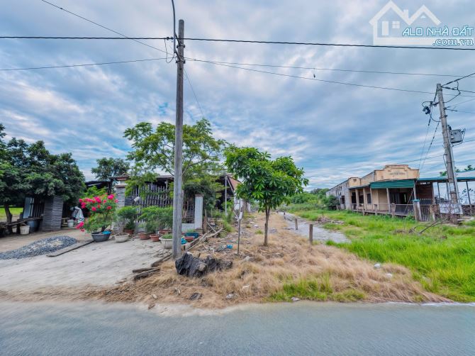 🌟 BÁN ĐẤT - MẶT TIỀN NGUYỄN THÔNG - (5 x 45) - 1 TỶ 200 TRIỆU 🌾 - 2