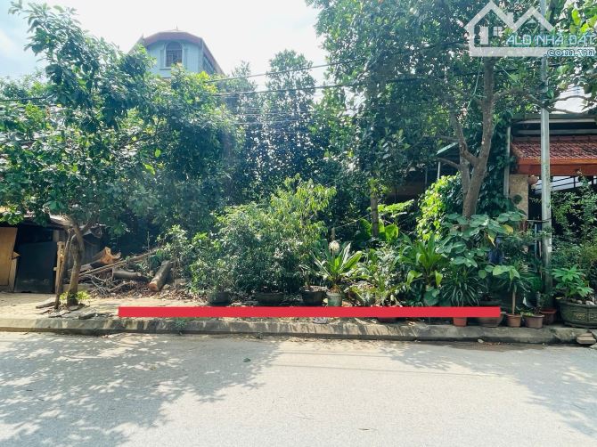 CHỦ CẦN BÁN 150M2 TĐC BẮC PHÚ CÁT KHU CNC HÒA LẠC - 2