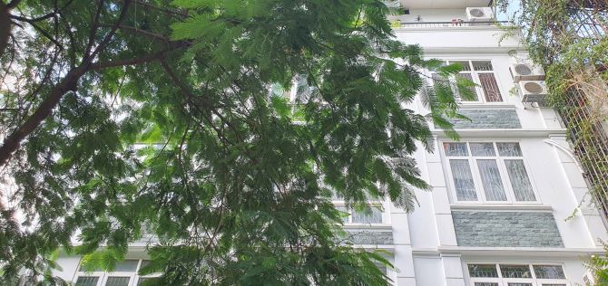 Bán nhà phố Tam Trinh, DT 160 m2, MT 10 m, ở & KD luôn - 2