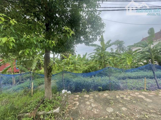 MẶT ĐƯỜNG TRUNG NGHĨA 125m2 ngang 5m đường 11m,kinh doanh buôn bán tốt giá 24trm2 - 2