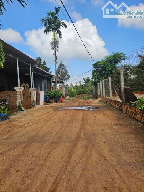 LÔ ĐẤT SỔ ĐỎ THỔ CƯ – PHƯỜNG TÂN LỢI – CÁCH KHU ĐÔ THỊ ÂN PHÚ 3 KM = 750 triệu - 2