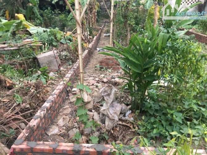 Bán đất tại Đồng Tâm, Lai Sơn, Vĩnh Yên. DT 94m2 - 2