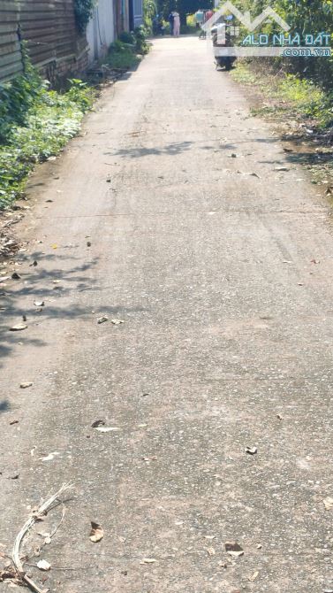 🌳ĐẤT 2 MẶT TIỀN -DT: 584M CÓ 561 THỔ- GIÁ: 7 TỈ 3 – AN PHƯỚC, LONG THÀNH 🌳 - 2