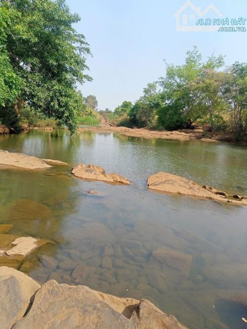 Bán đất 2.8ha view suối lớn có nhà sẵn tại Quảng Hiệp Cư Mgar - 2