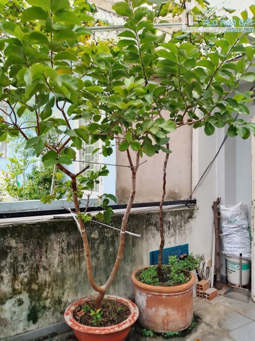 hẻm xe hơi đường Bùi Hữu Nghĩa, bình thạnh, 93m2, 4 tầng, 18 tỷ thương lượng - 2
