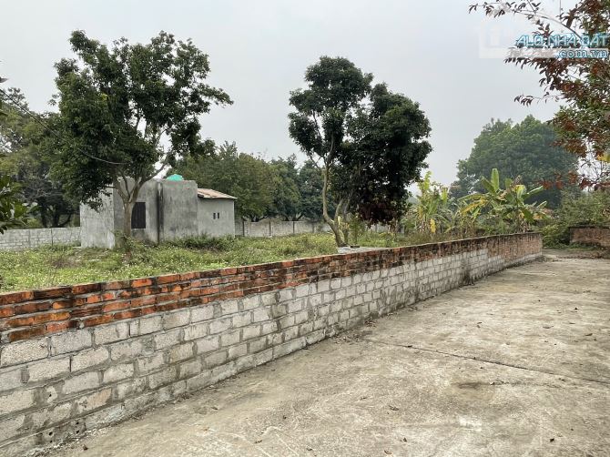 Chính chủ cần bán gấp lô đất 149m2 (6,8x22) tại Thôn Trại hồ, Cổ Đông, Sơn tây. - 2
