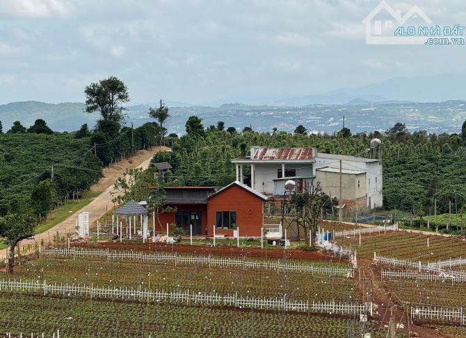 Bán đất tại Đông Thanh, Lâm Hà, Lâm Đồng, 570 triệu, view đẹp, SHR - 2
