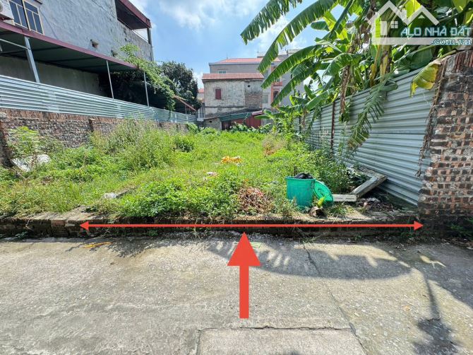 Bán đất Mai Đình, Sóc Sơn, HN. Thửa đất vuông như tờ A4, đầu tư hoặc xây nhà cực đẹp - 2