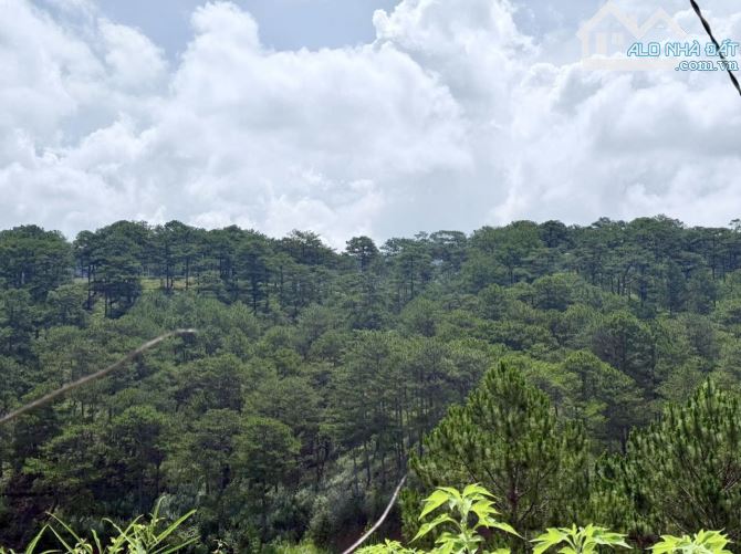 🏡 VILLA HẺM 2 Ô TÔ LỚN ĐƯỜNG HOÀNG HOA THÁM - VIEW THUNG LŨNG CỰC ĐẸP - NGAY TRUNG TÂM - 2