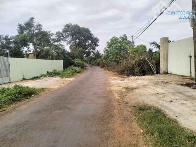 BÁN LÔ ĐẤT SÀO MẶT TIỀN ĐƯỜNG NGUYỄN XUÂN NGUYÊN, PHƯỜNG TÂN AN, ĐĂK LĂK - 2