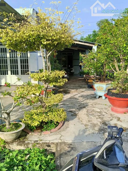 Bán nhà khu phố 7 Thị trấn Tân Biên , tỉnh Tạy Ninh 8,4x51m thổ cư 86m2 giá 1ty092 triệu - 2