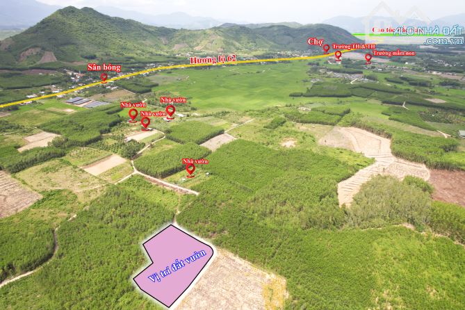 bán lô đất vườn Diên Tân rẻ nhất khu vực sẵn cây Hương tren đất chỉ 290 triệu - 2