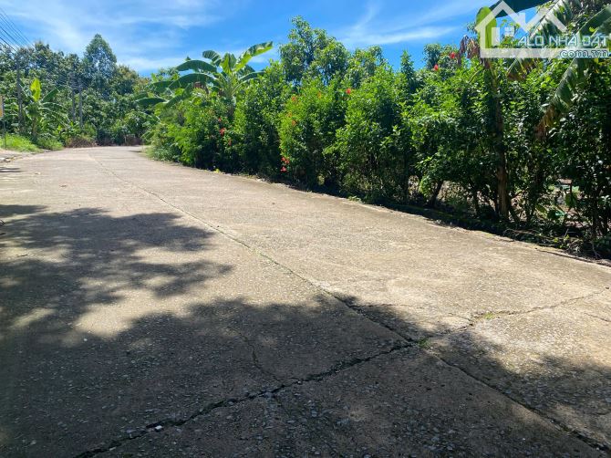 bán 3000m2 đất có sẵn 100m2 thơ cư.có 30m mặt  tiền đường bê tong,dân cư đông đúc giá rẽ - 2