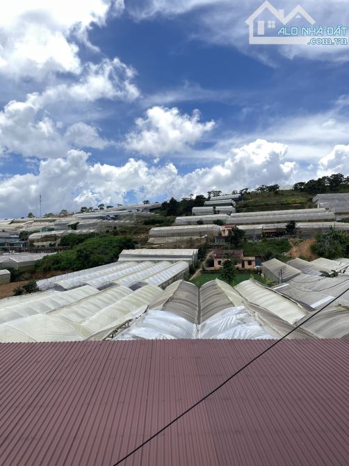 Đất đẹp, vị trí đắc địa - Nguyễn Hoàng, Đà Lạt | thích hợp xây biệt thự, đầu tư lâu dài. - 2