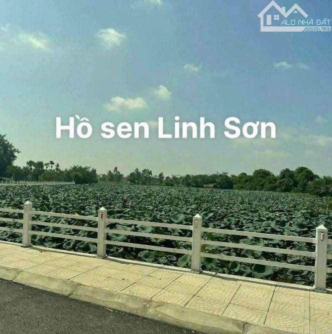 100m hồ sen Linh Sơn , xung quanh đầy đủ tiện ích gần đại học FPT và Đại Học Quốc Gia - 2