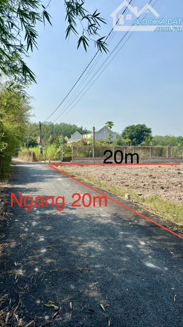 chủ bán gấp 20mét ngang đất sổ hồng thổ cư đường nhựa Tỉnh Lộ 2 giáp củ chi - 2