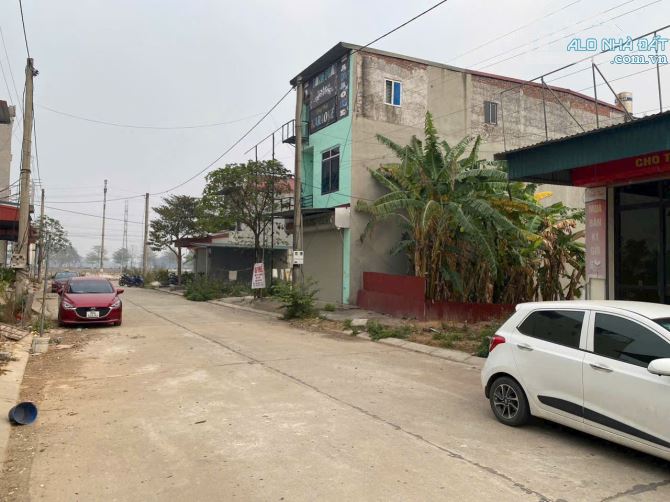 CC gửi bán đất phân lô Tân Ngọc - 2