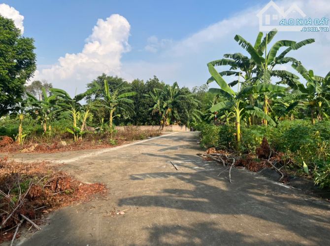 Bán đất thổ cư 88m² – thôn Sên Chỉ, Bình Yên, Thạch Thất – đường ô tô tránh – tiềm năng si - 2